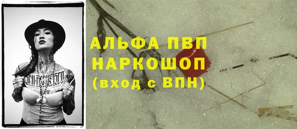 спиды Абаза